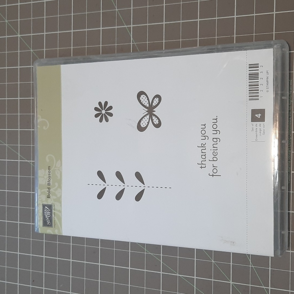 Bold Blossom cling rubber stamp set